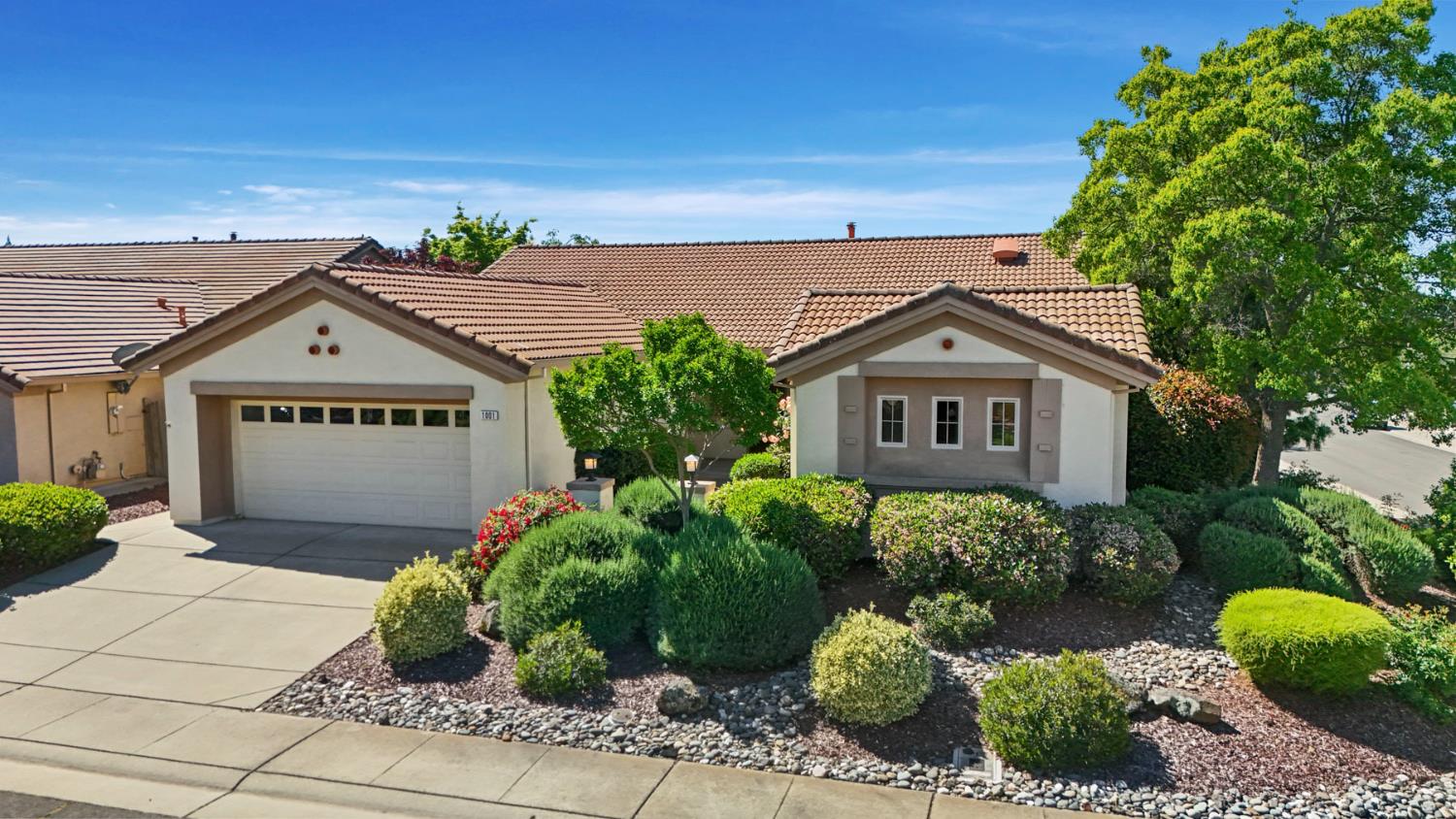 1001 Magnolia Lane — photo