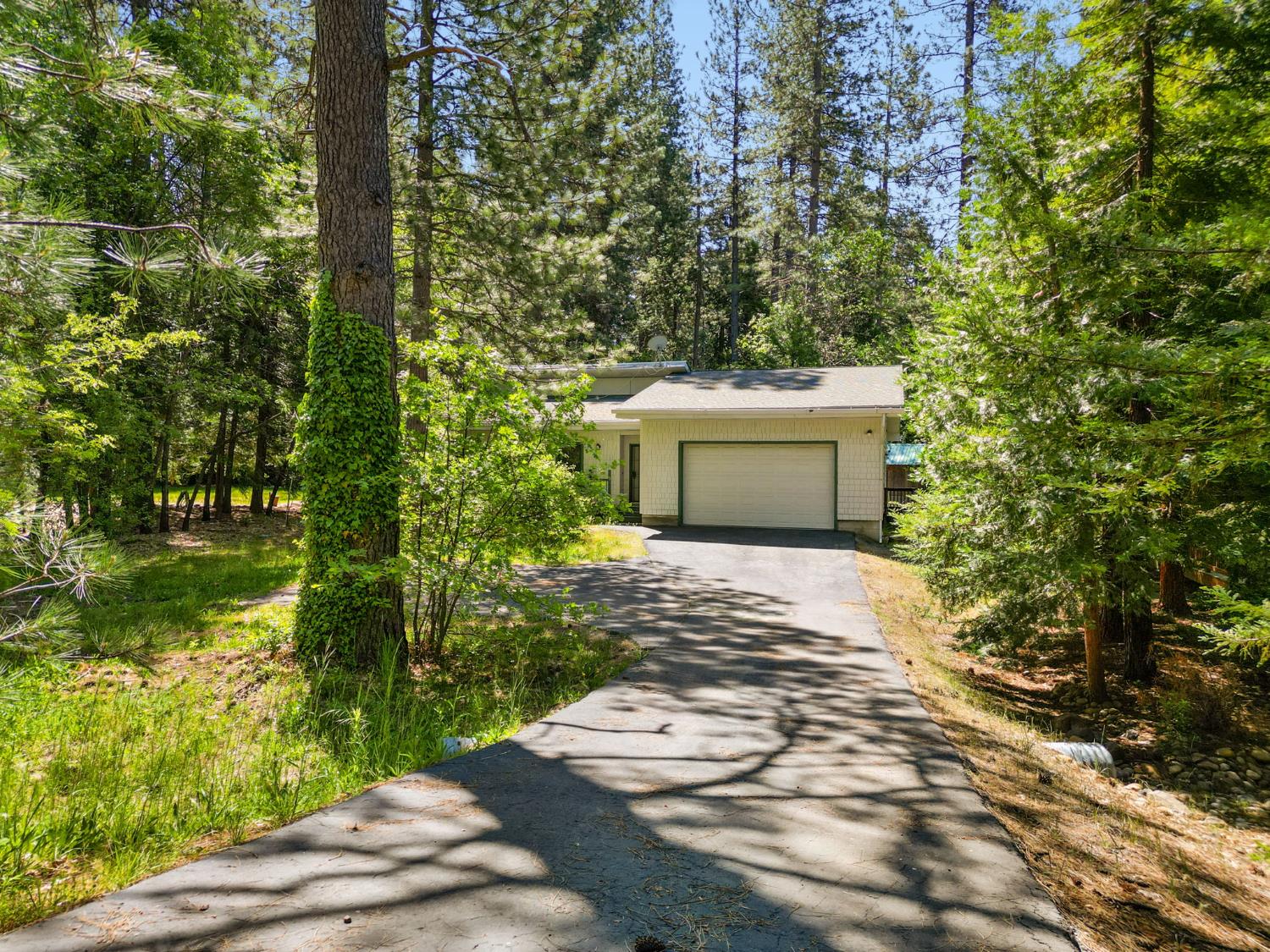 2641 Pine Drive, Arnold, CA 95223 — photo 2
