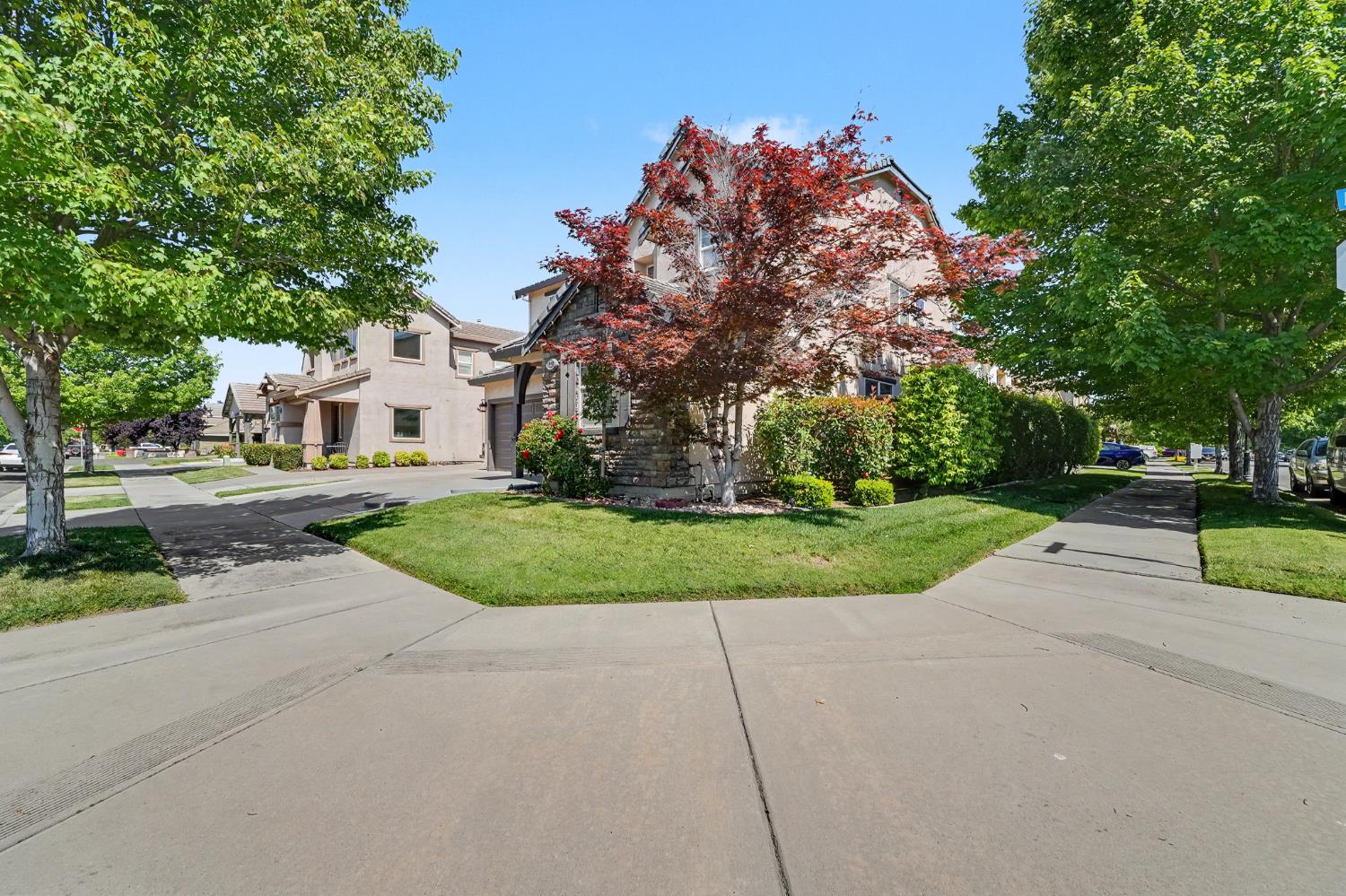 1223 E Springer Drive, Turlock, CA 95382 — photo 3