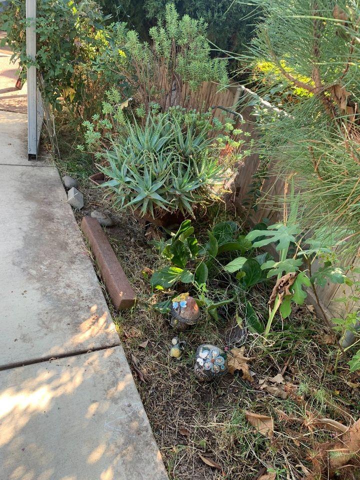 Home in Sacramento, CA 95820 — photo 3