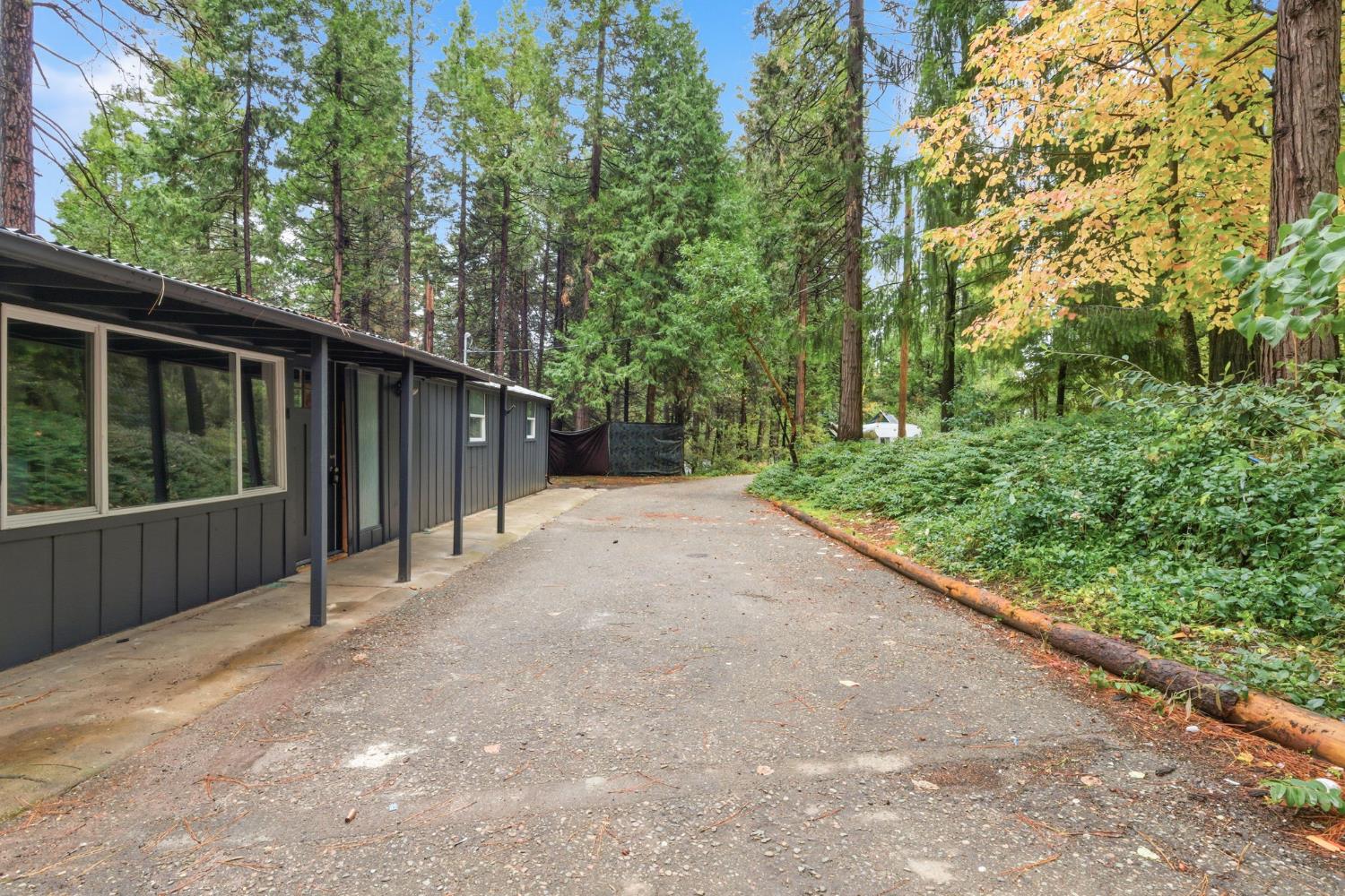 19159 Allan Road, Volcano, CA 95689 — photo 2