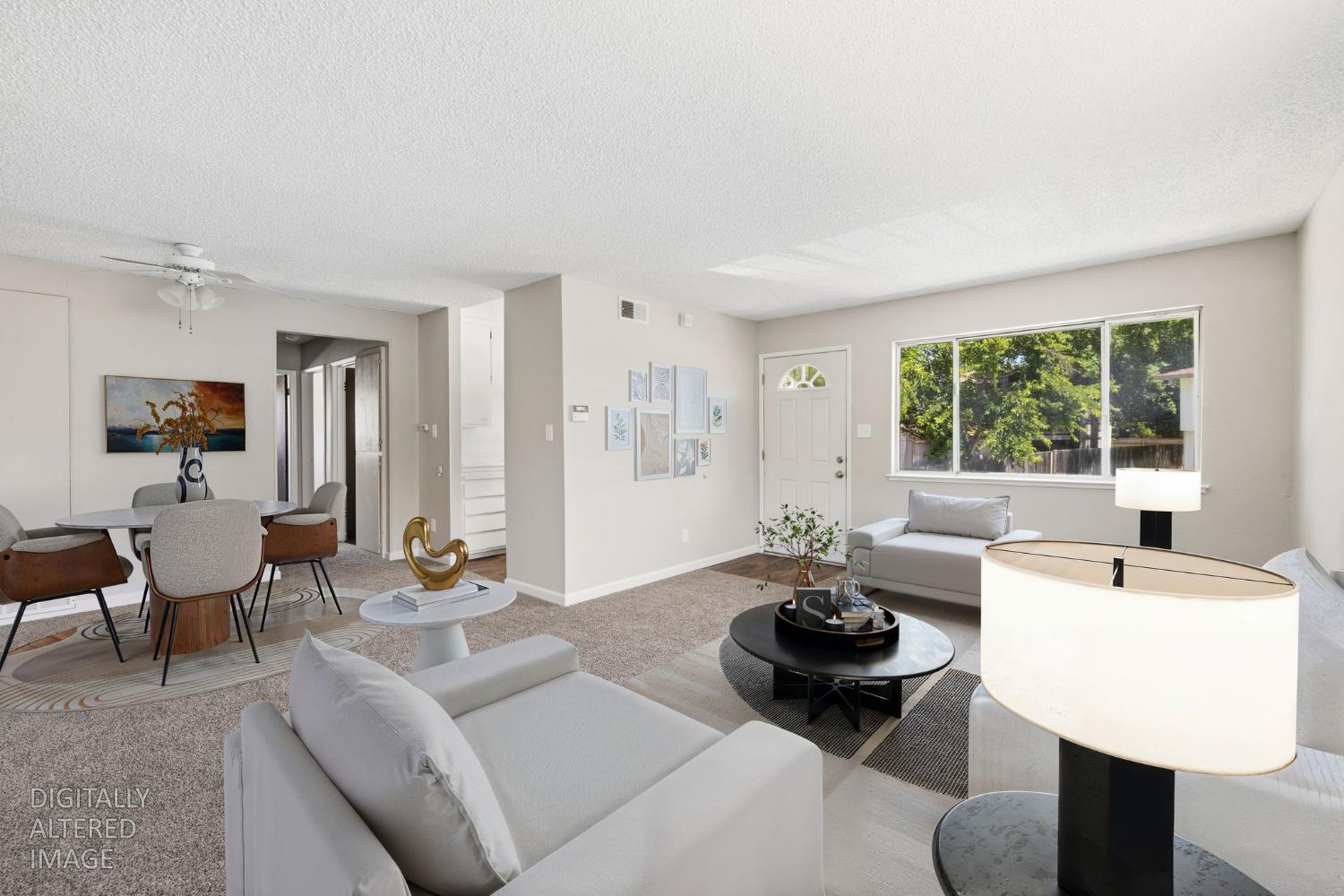 279 Sharp Circle 4 — photo