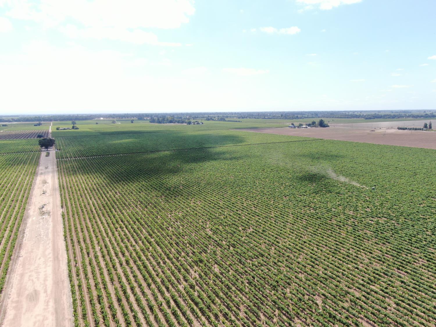 20271 N Devries Road, Lodi, CA 95242 — photo 3