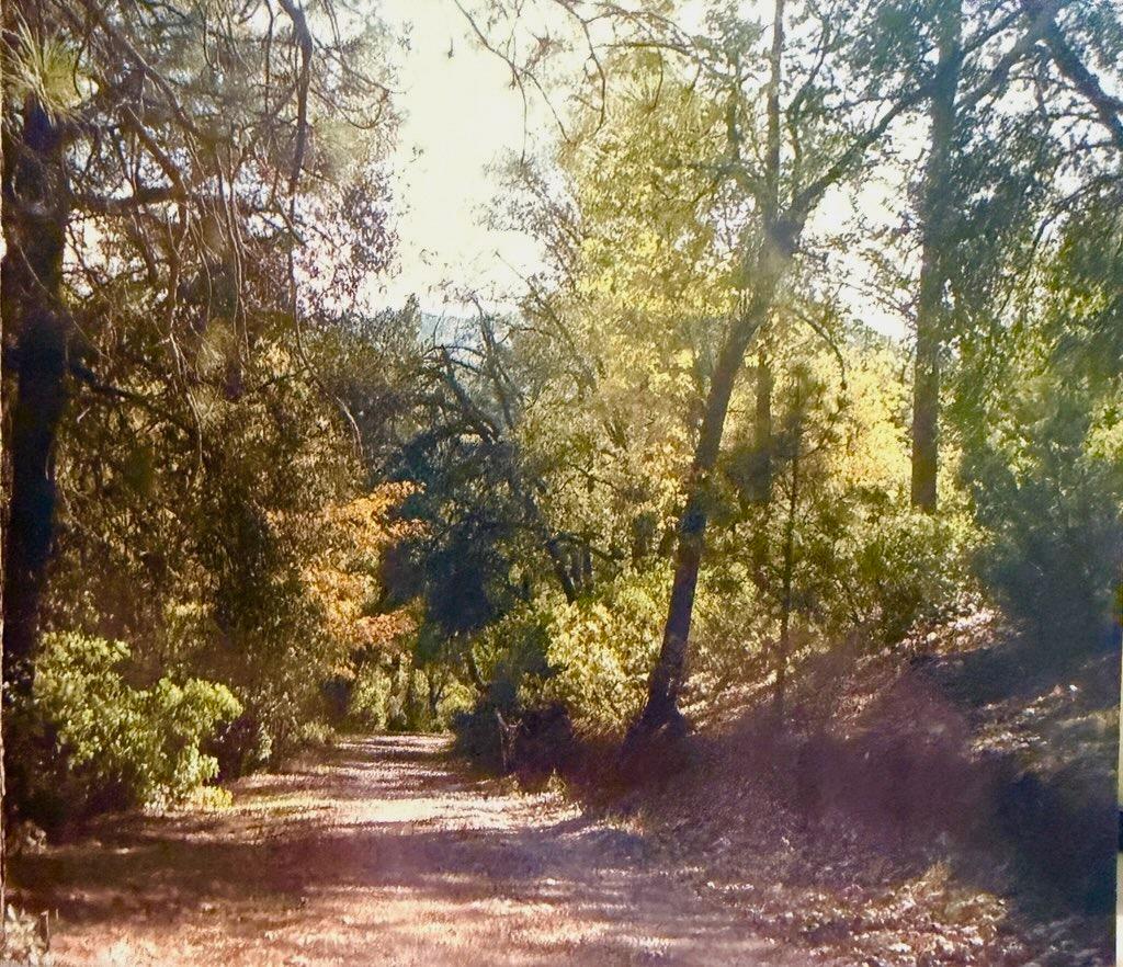 3558 Sheep Ranch Road, Murphys, CA 95247 — photo 2
