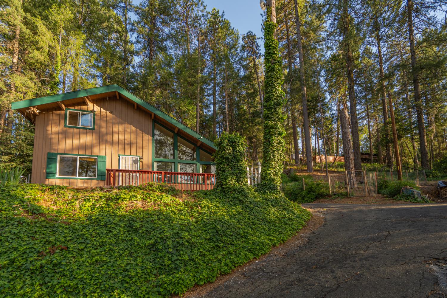 28020 Manzanita Trail — photo