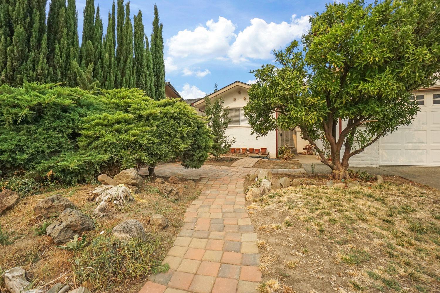 1005 Dover Drive, Lodi, CA 95242 — photo 3