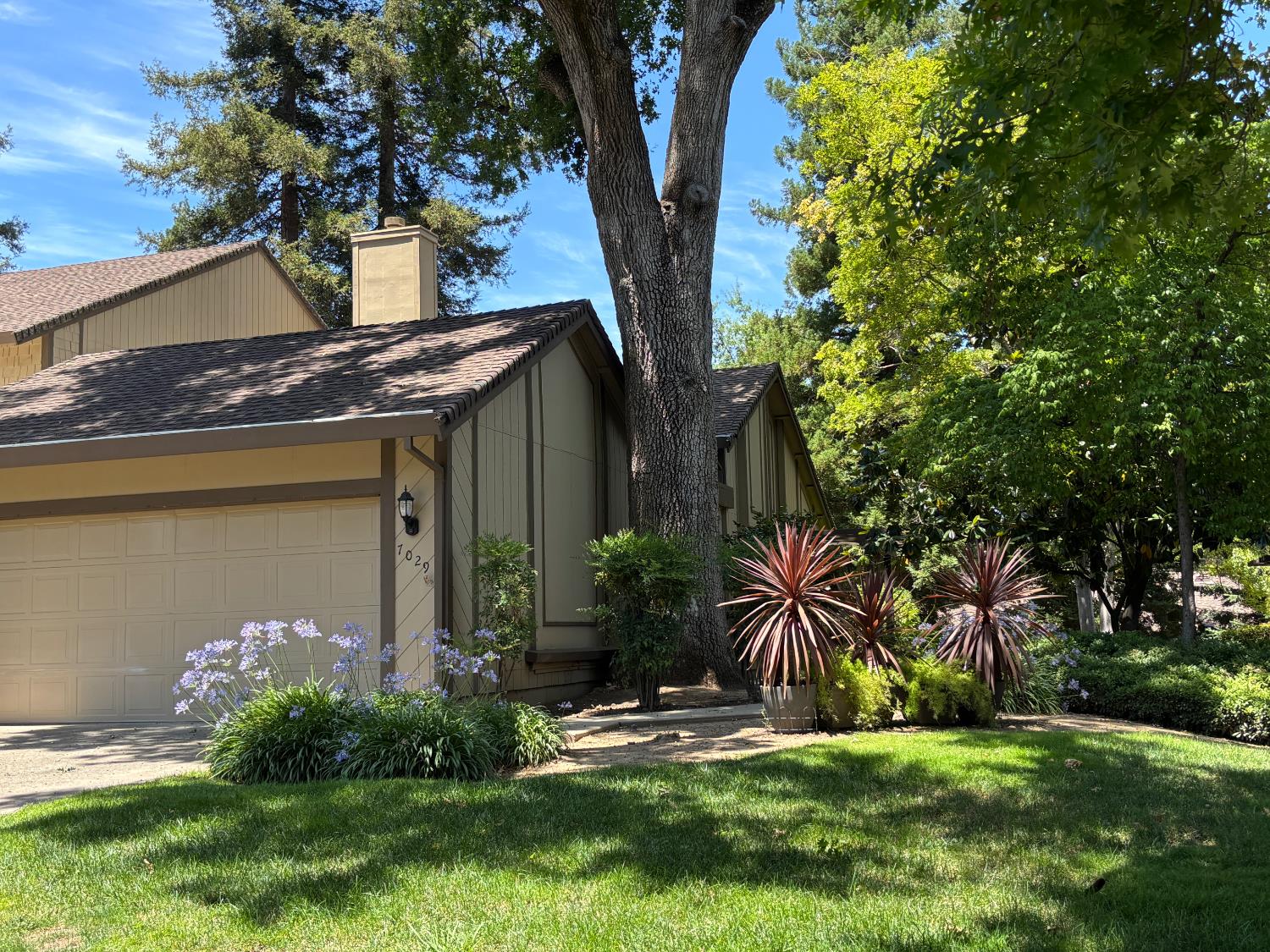 7029 Rio Cuarto Court — photo