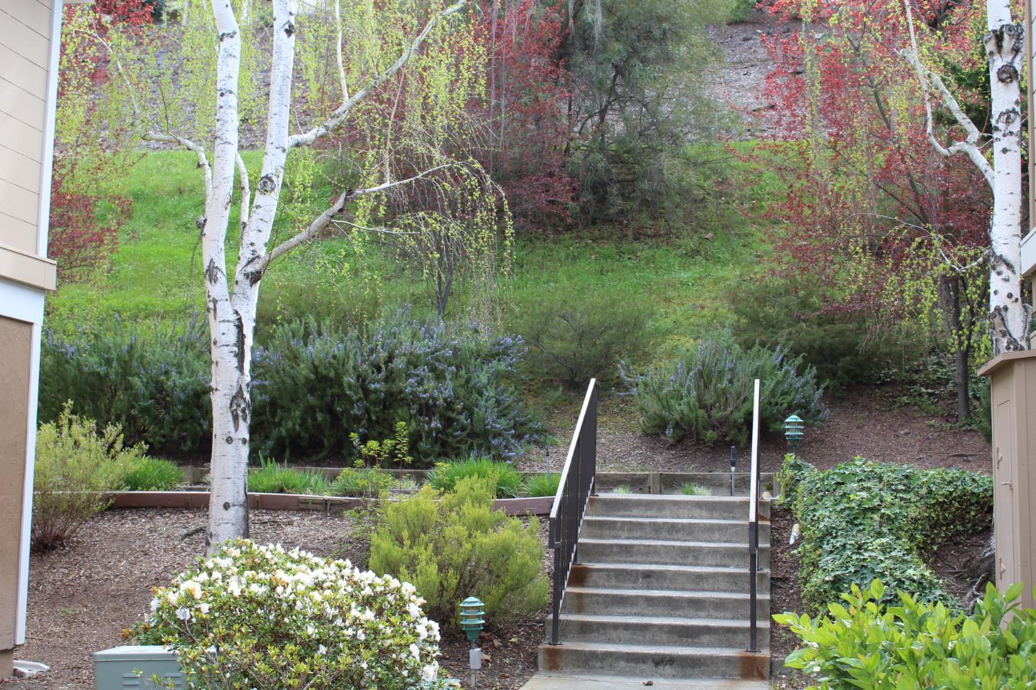 1405 Ptarmigan Drive 2 — photo