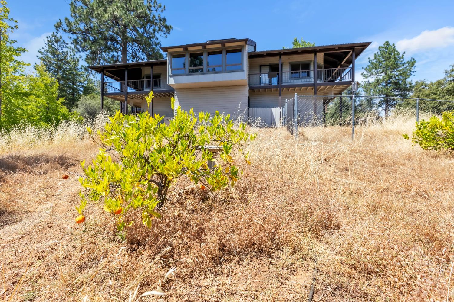 17534 Red Mule Road — photo