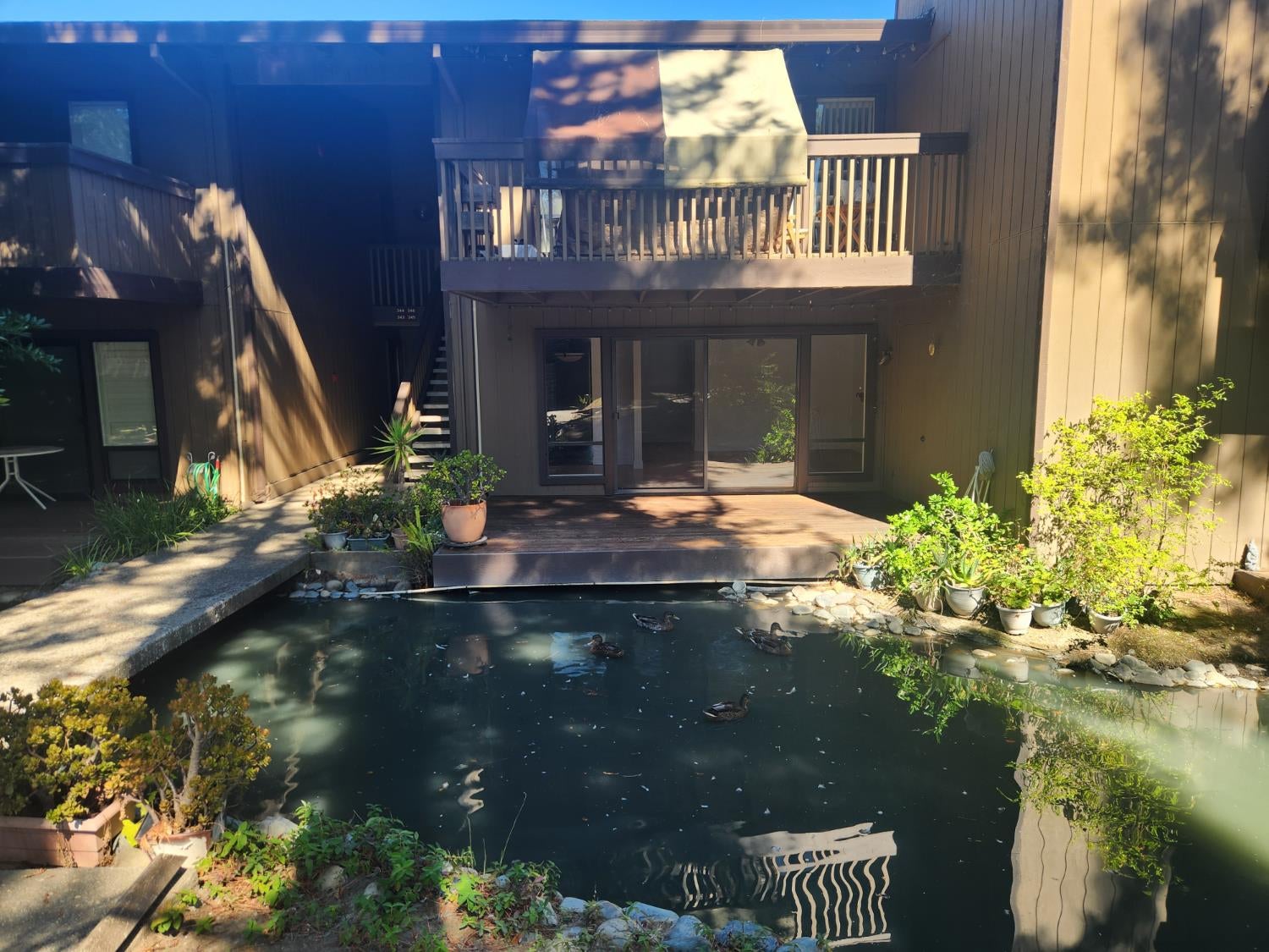 2462 Larkspur Lane 345 — photo