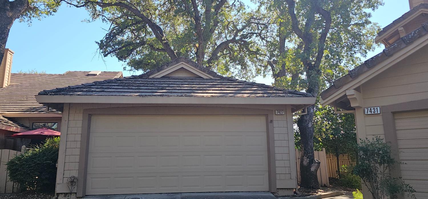 7427 Black Tree Lane — photo