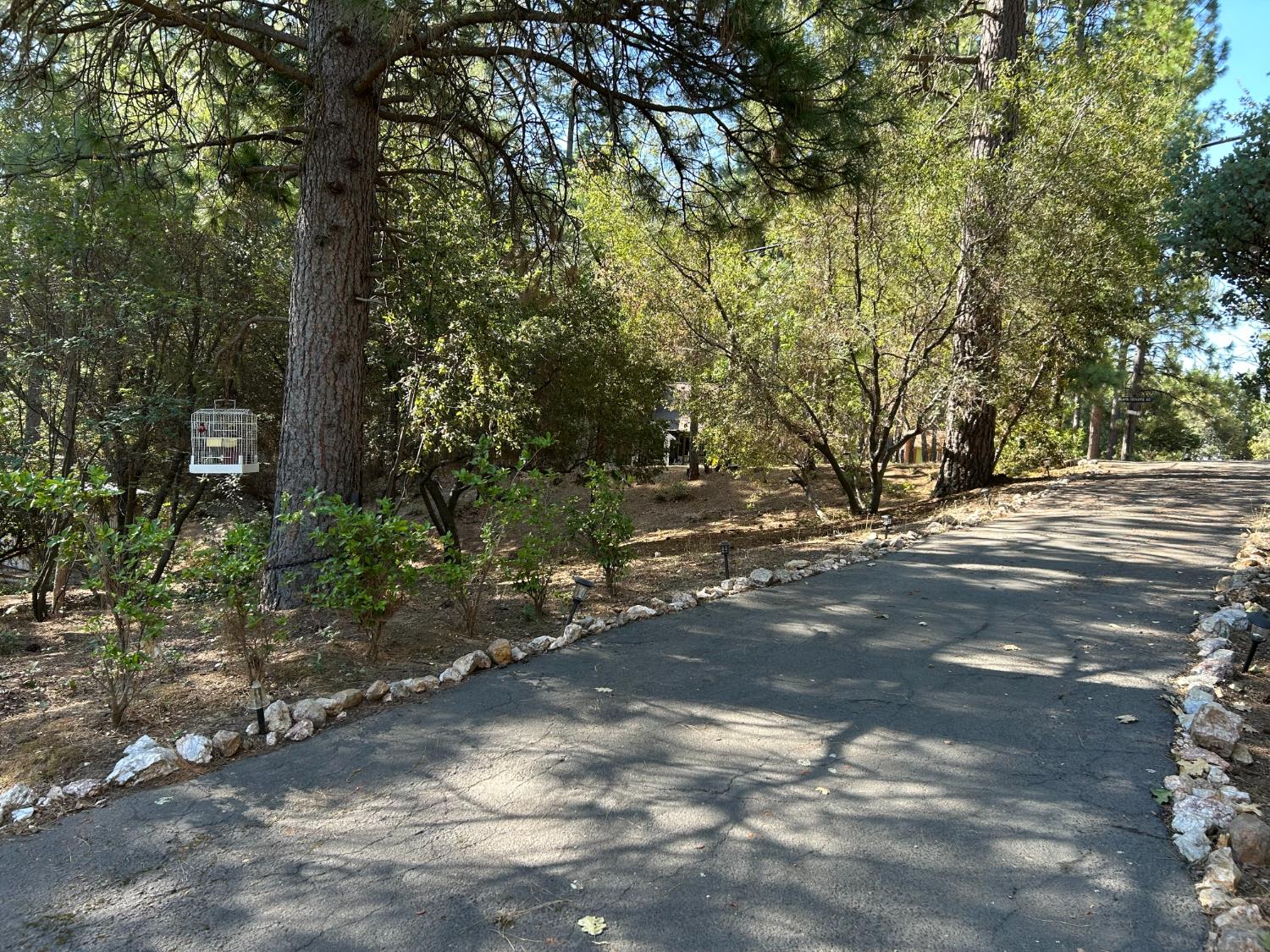 5883 Black Quartz Road, Murphys, CA 95247 — photo 3