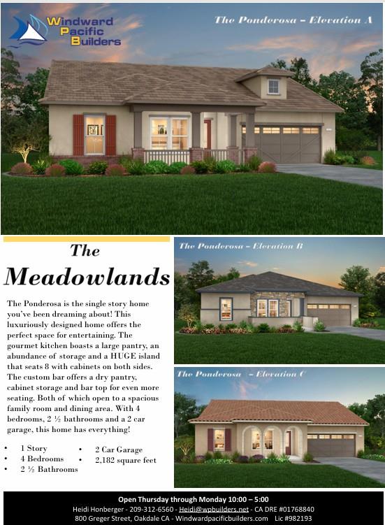 1017 Meadowlands Drive — photo