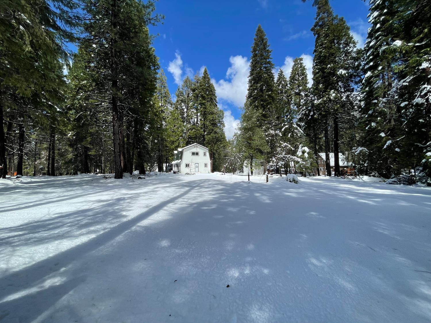 10421 Wentworth Springs Road — photo