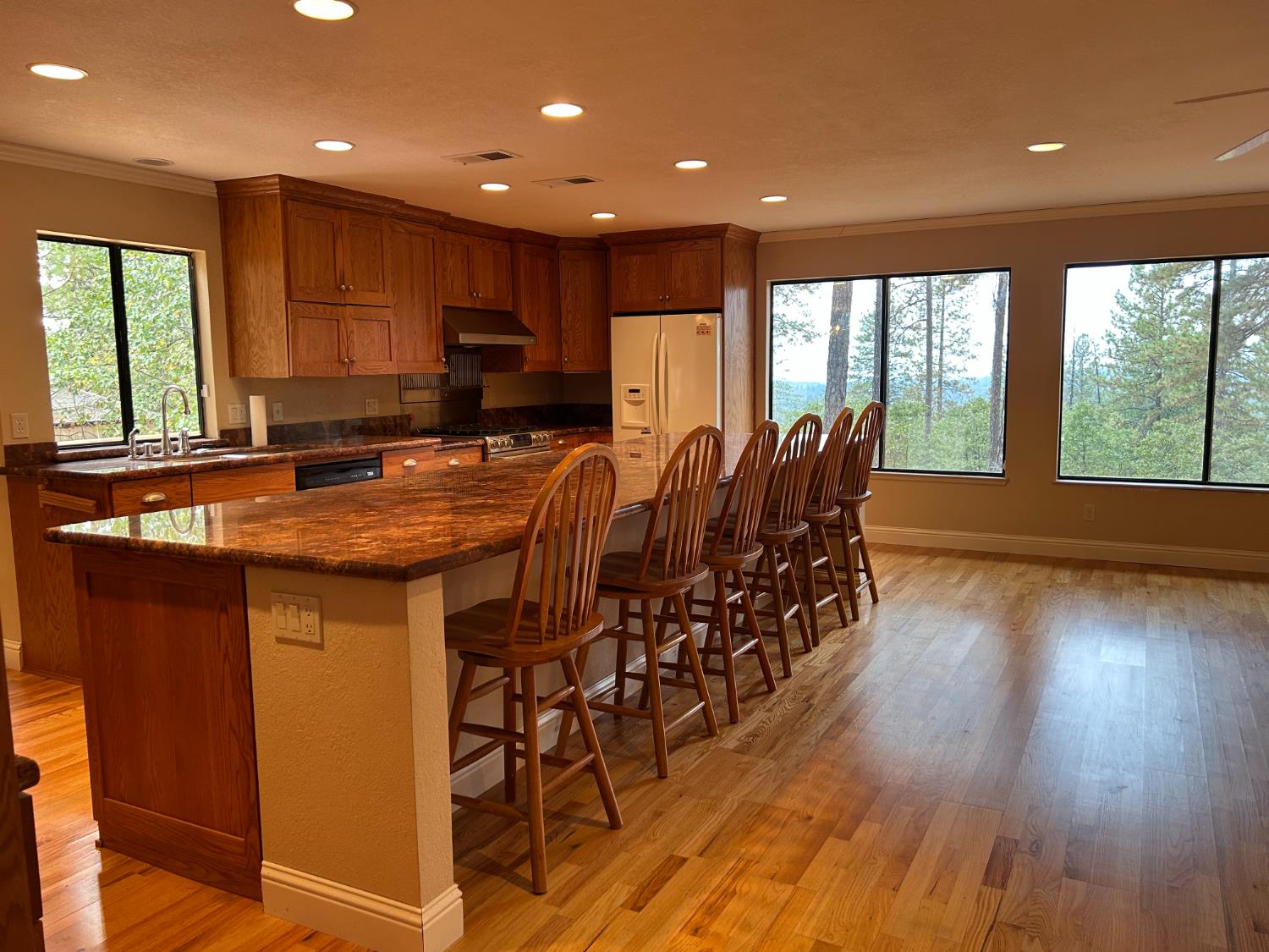 17151 Mountain View Drive, Applegate, CA 95703 — photo 2