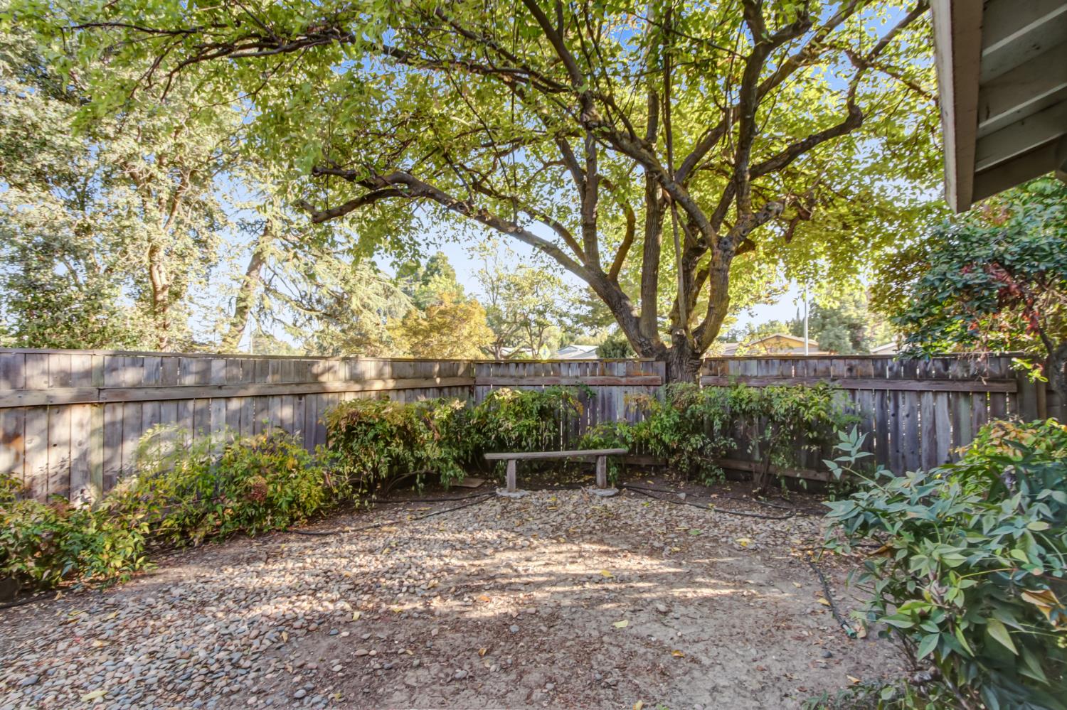 1619 Pole Line Road, Davis, CA 95618 — photo 3