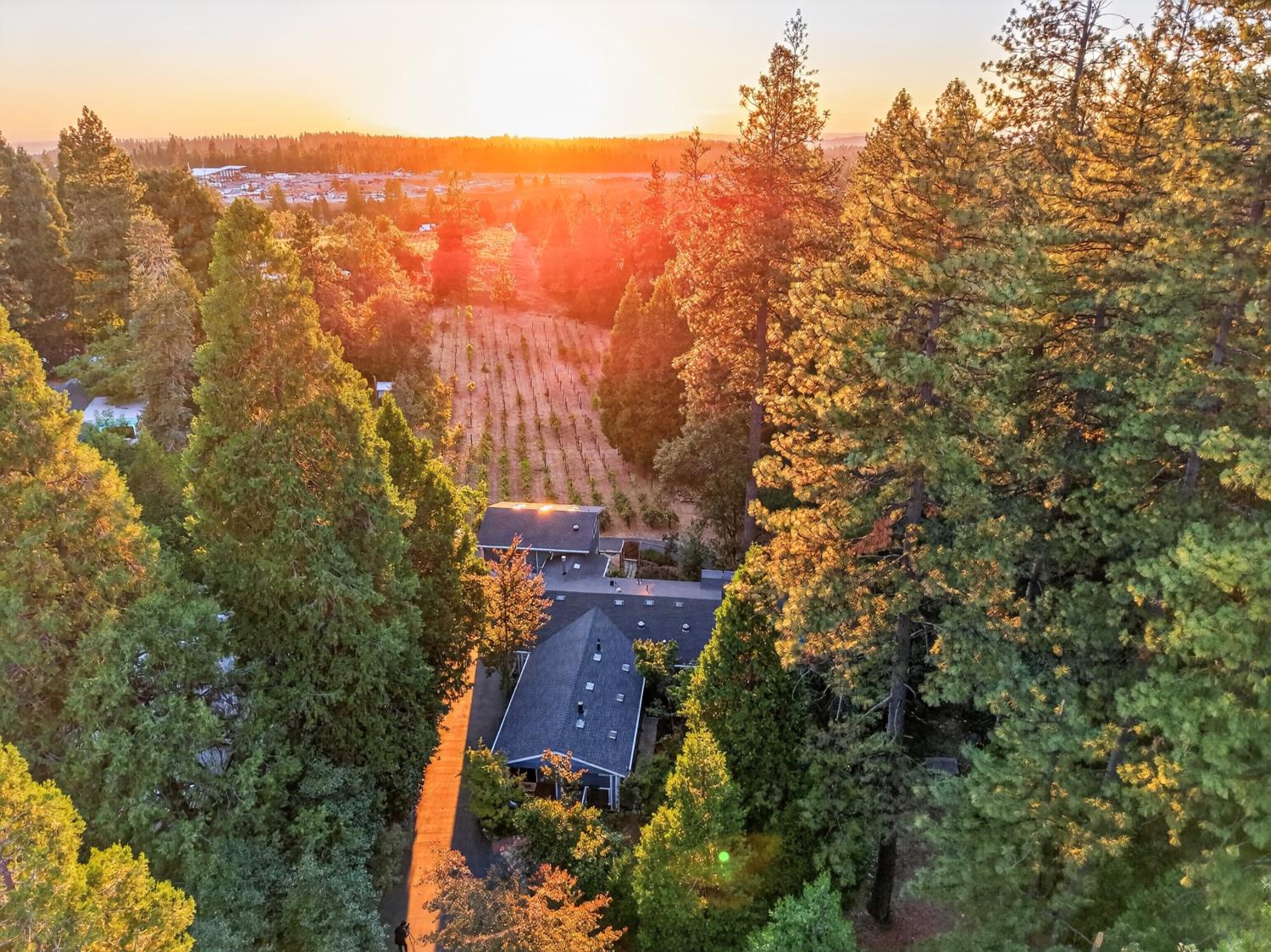 2664 Cable Road, Camino, CA 95709 — photo 3
