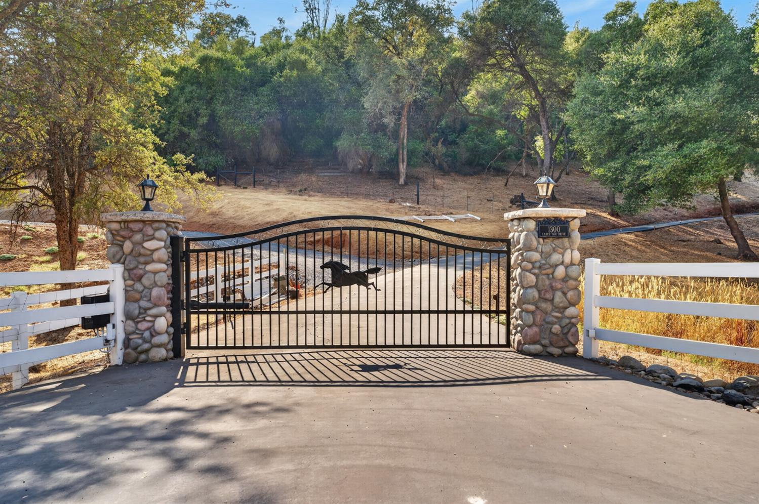 1300 Large Oak Drive, Placerville, CA 95667 — photo 2
