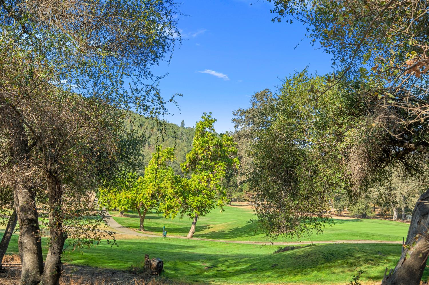 1663 Glen Drive, Placerville, CA 95667 — photo 2