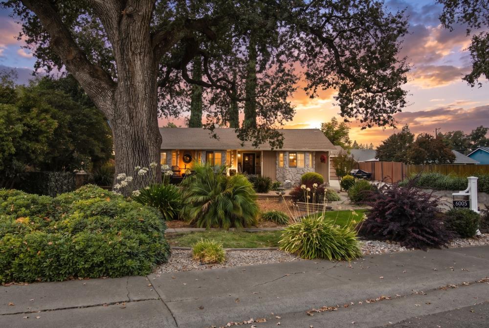 6005 Tree Line Court — photo