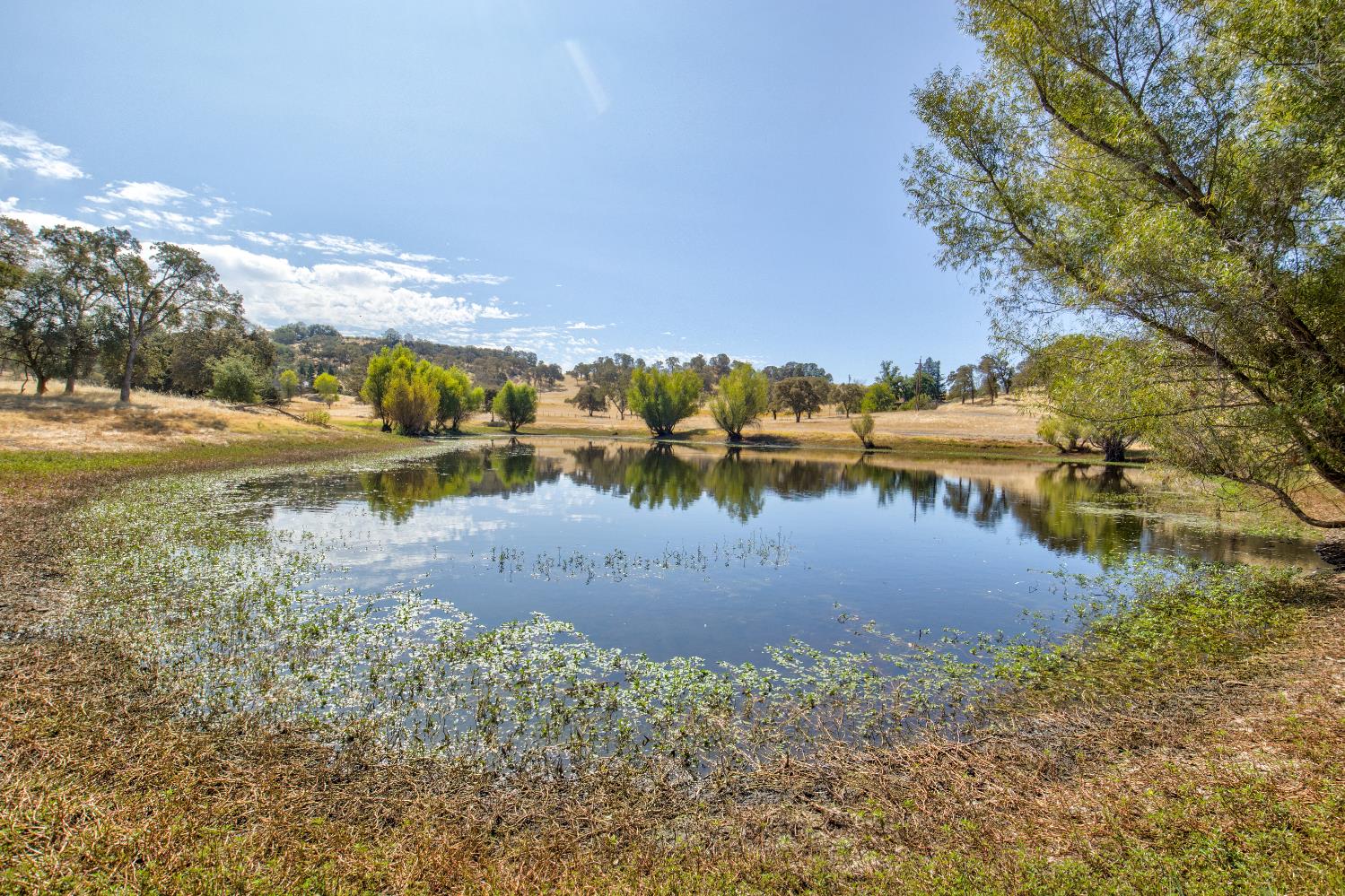 5065 Messing Road, Burson, CA 95225