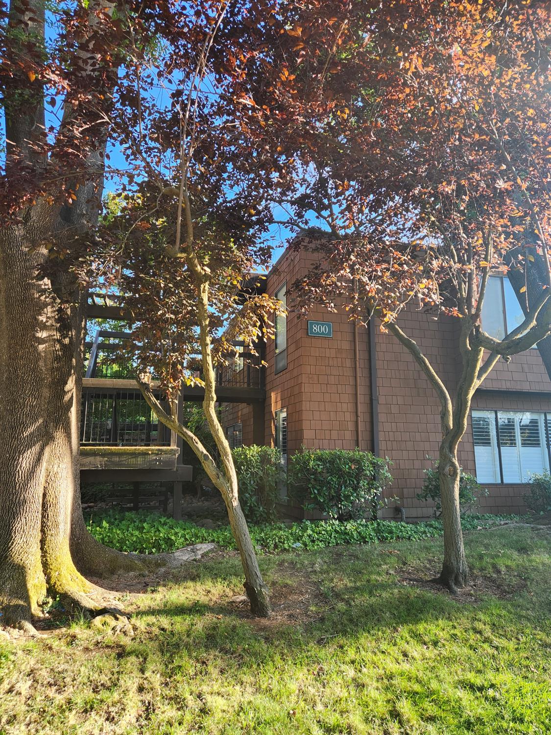 800 Woodside Ln #8 — photo