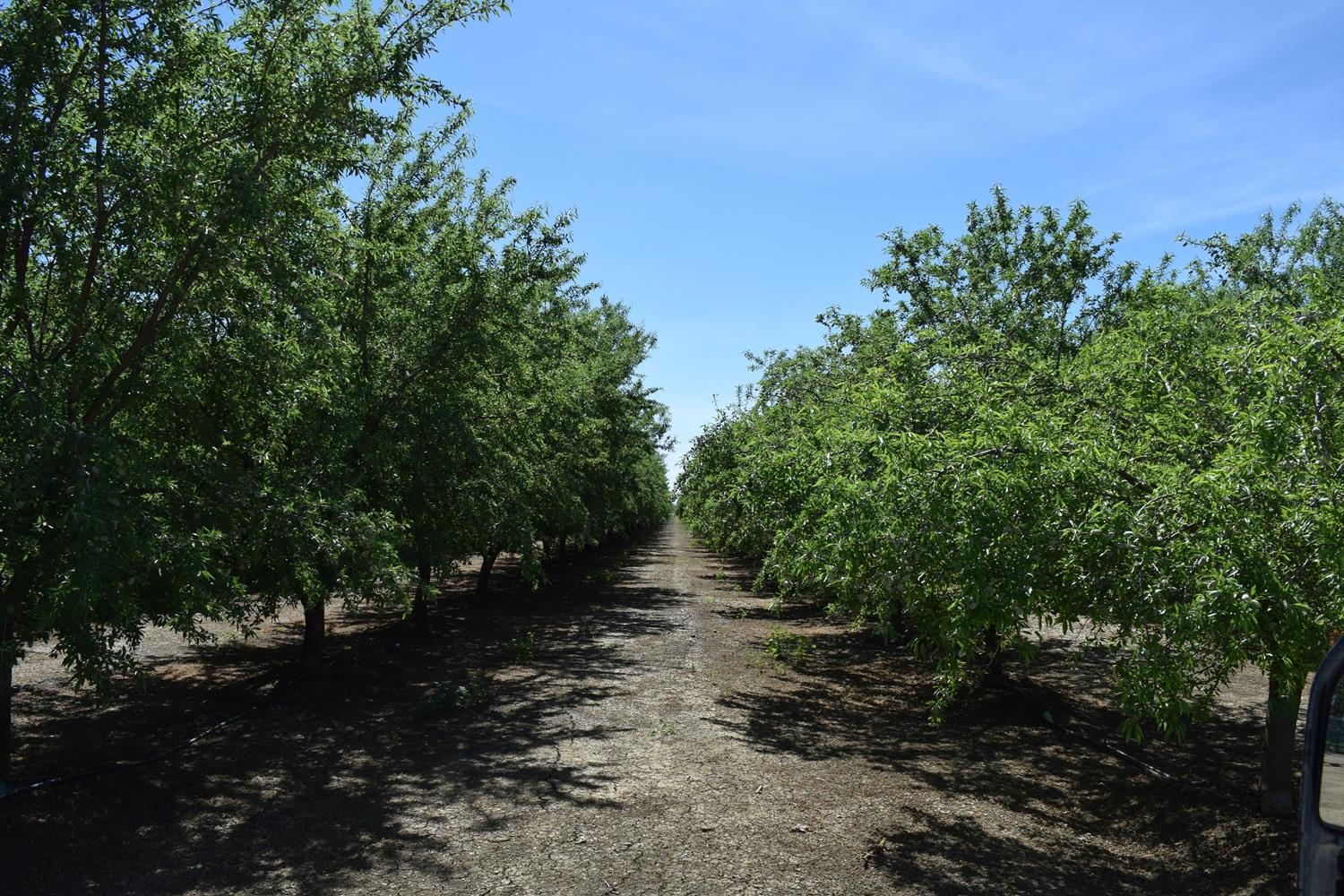 6547 County Road 48, Willows, CA 95988 — photo 3