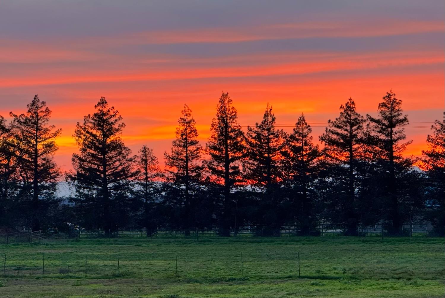2829 W Armstrong Road, Lodi, CA 95242 — photo 2