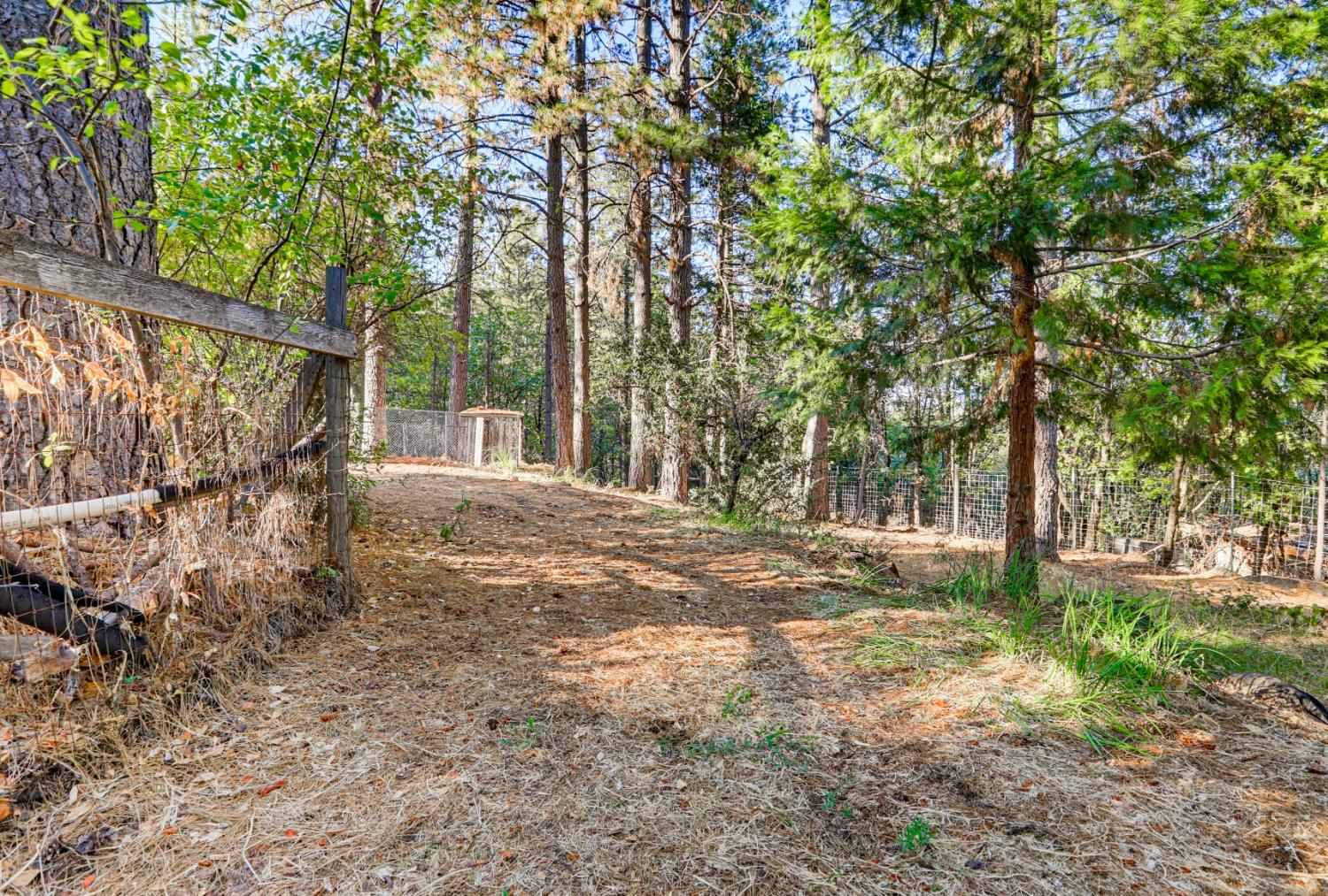 15948 Brooks Road, Grass Valley, CA 95945 — photo 3