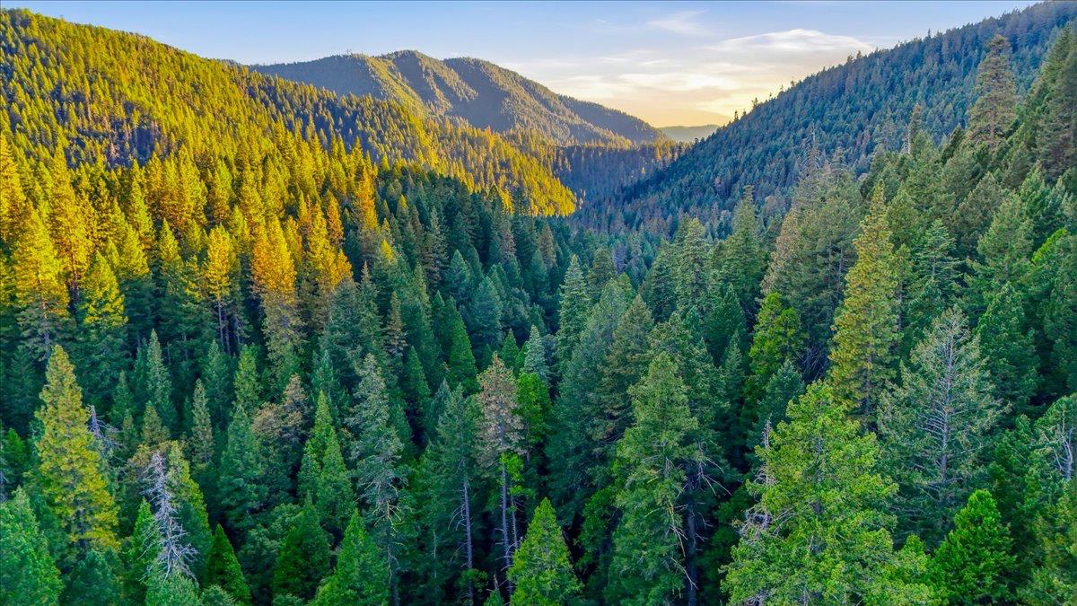 200 Craycroft Ridge Road, Downieville, CA 95936 — photo 3