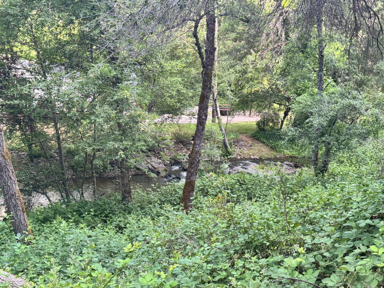 2601 Murphys Grade Road #1, Murphys, CA 95247 — photo 3