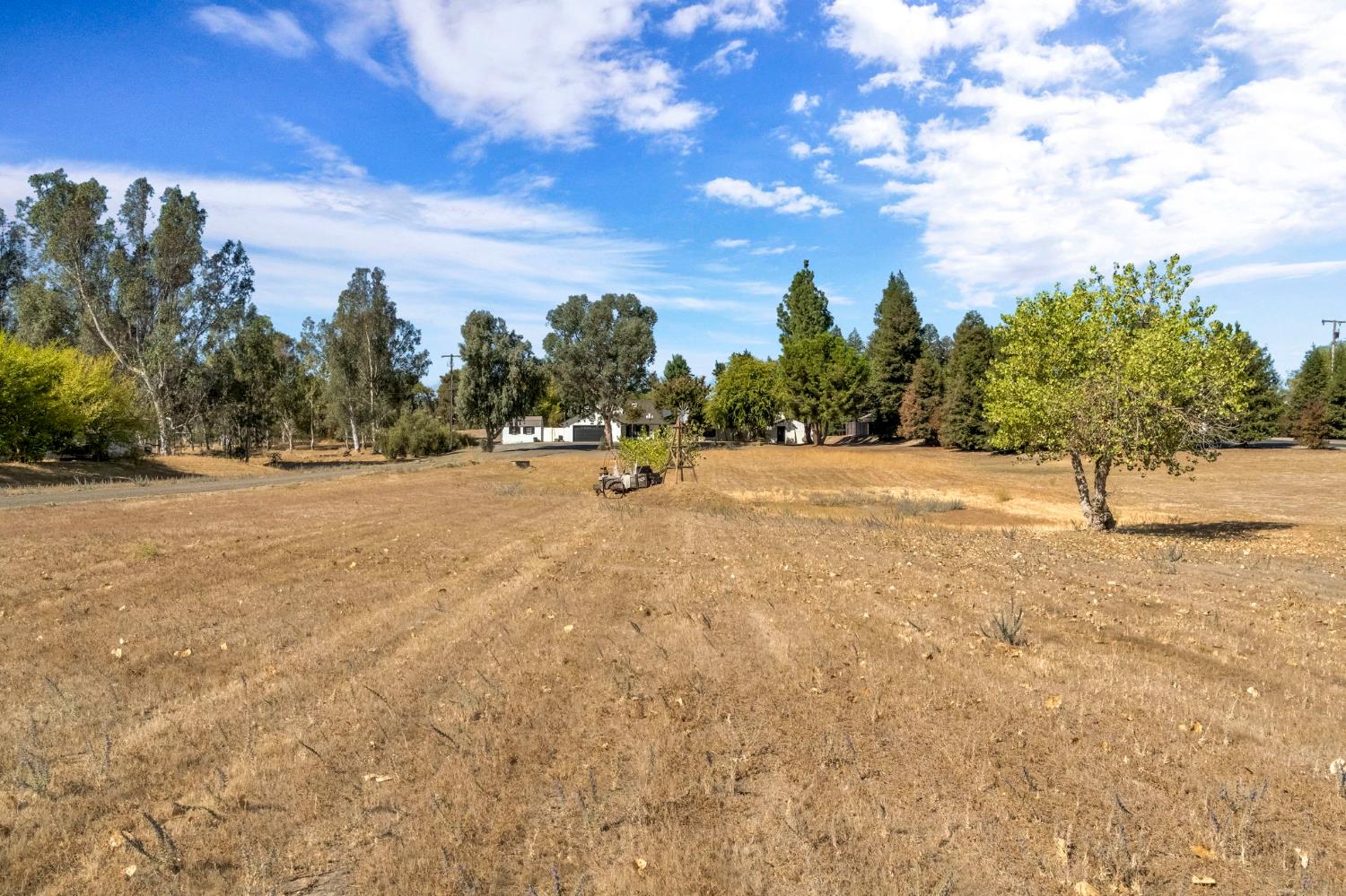 15446 Monreal Road, Madera, CA 93636 — photo 2