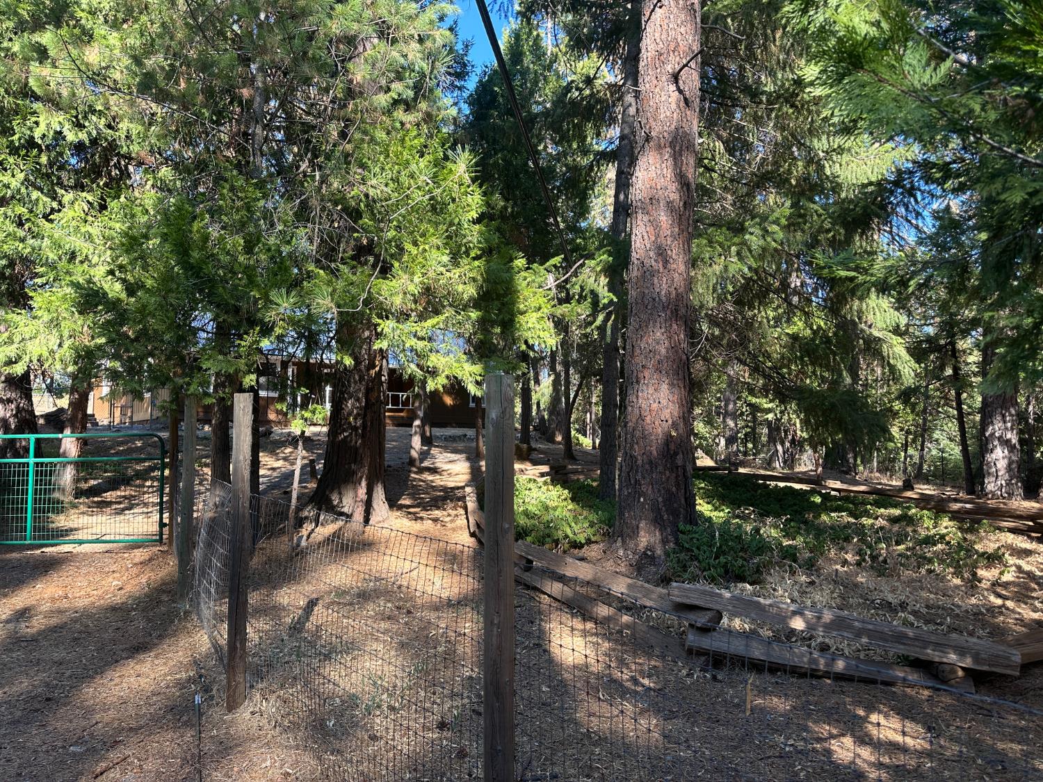 7221 Wentworth Springs Rd — photo
