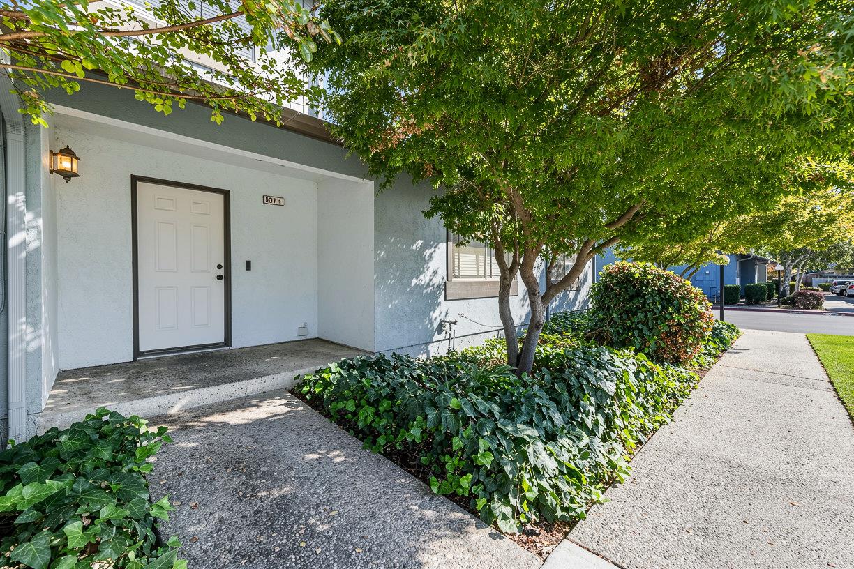 537 Lincoln Ave #B — photo
