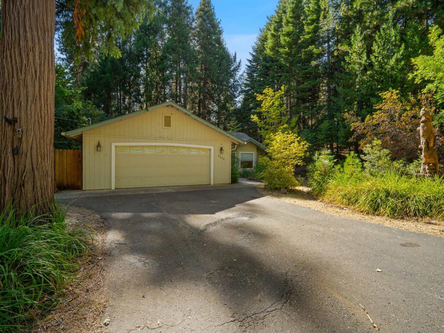6250 Terrace Dr — photo