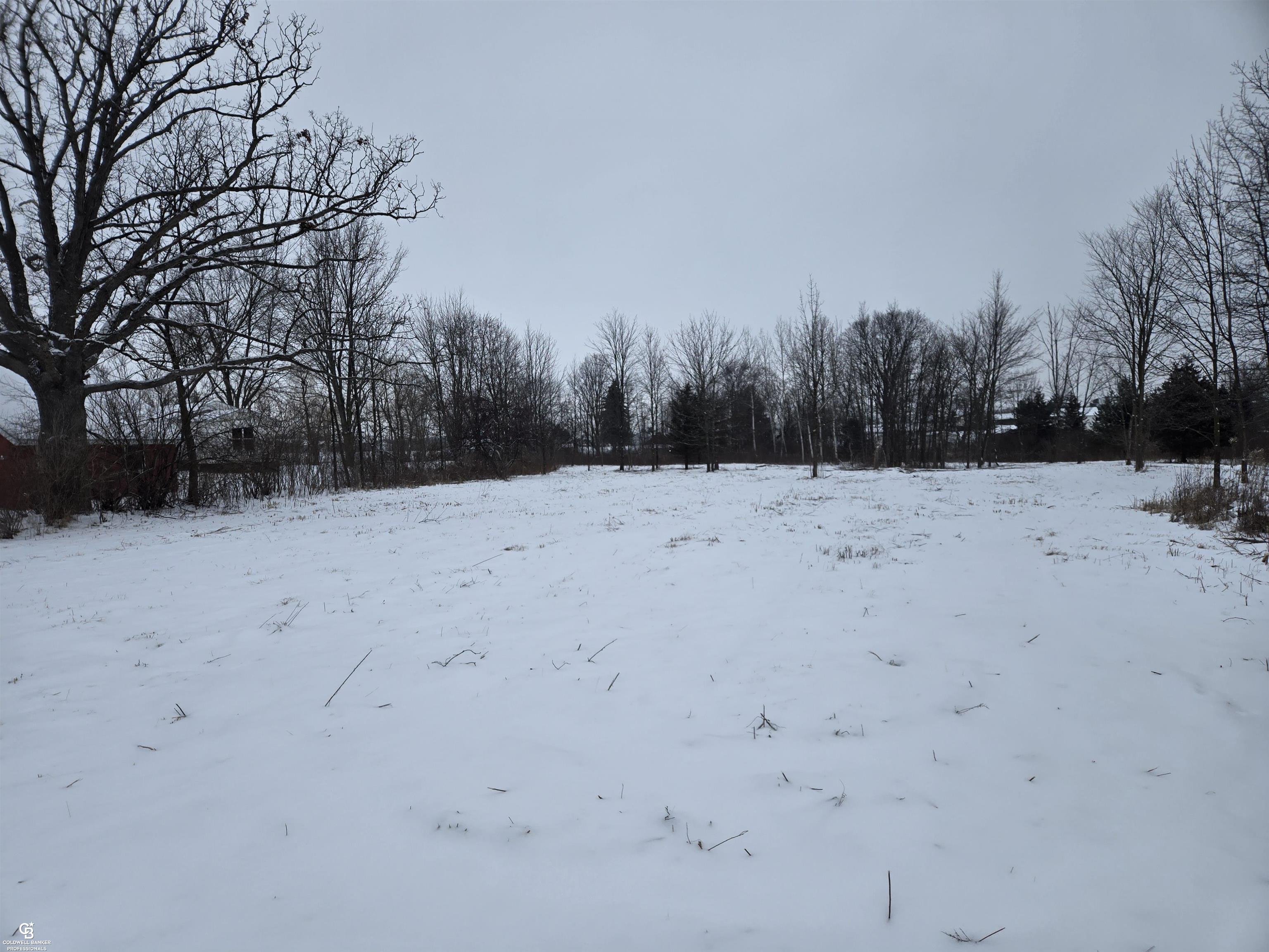 0 Downey Road, Capac, MI 48014