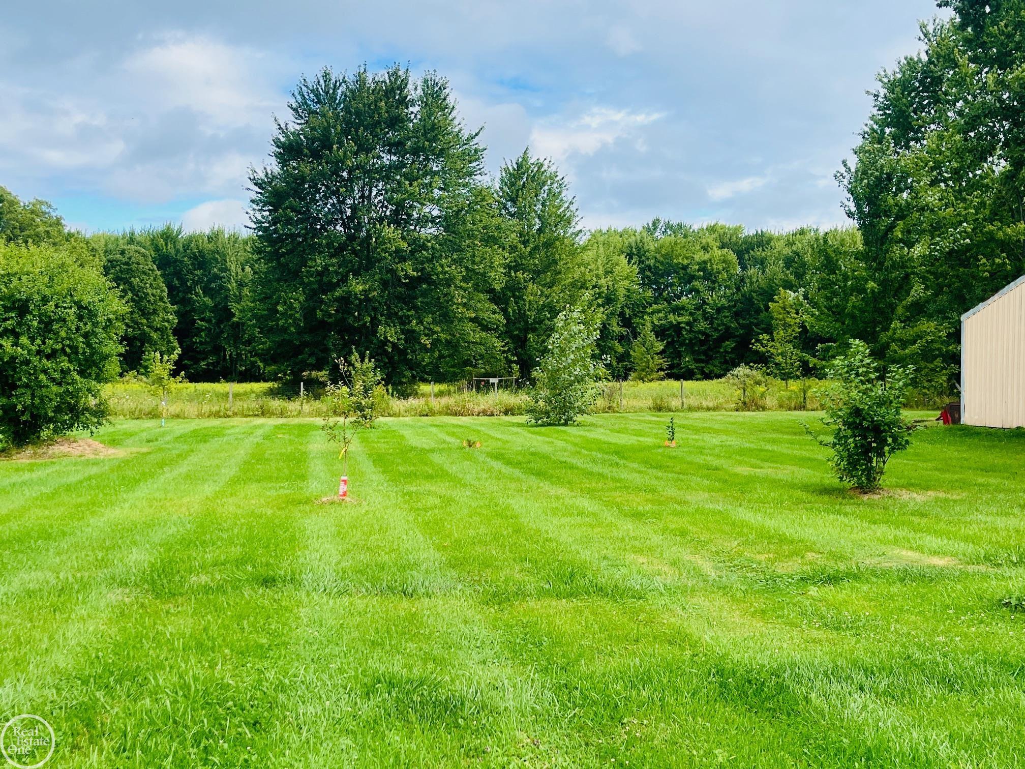 9250 Rynn Road, Avoca, MI 48006 — photo 3
