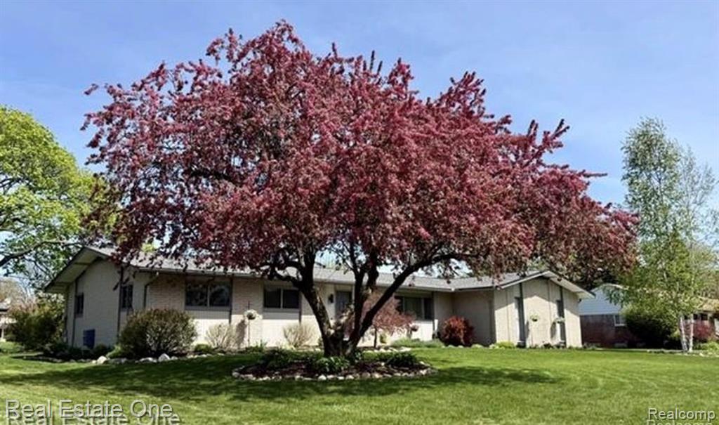 1115 Torpey Drive — photo
