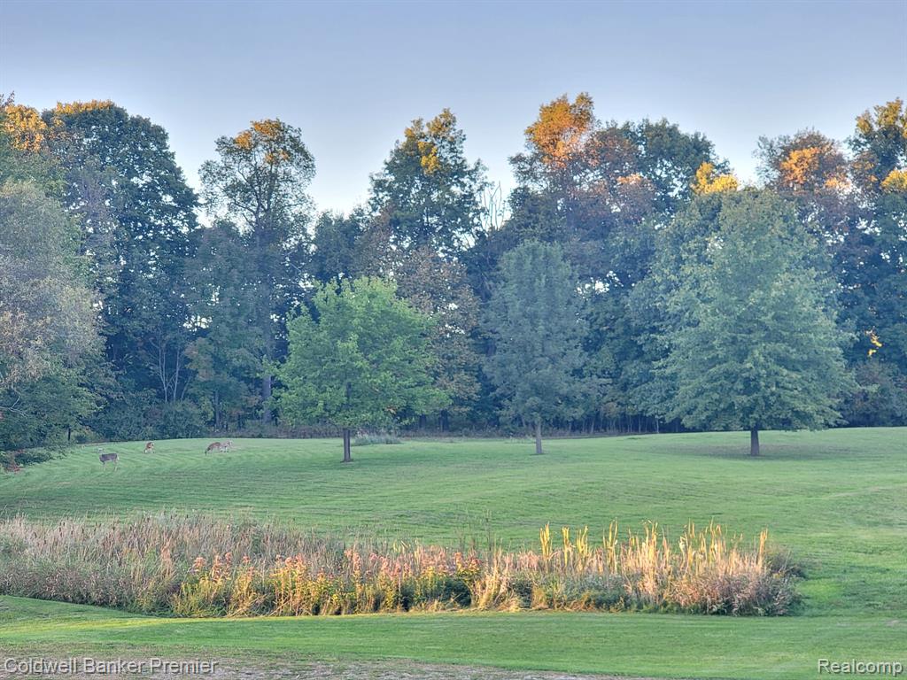 3975 Hagerman Road, Leonard, MI 48367 — photo 2