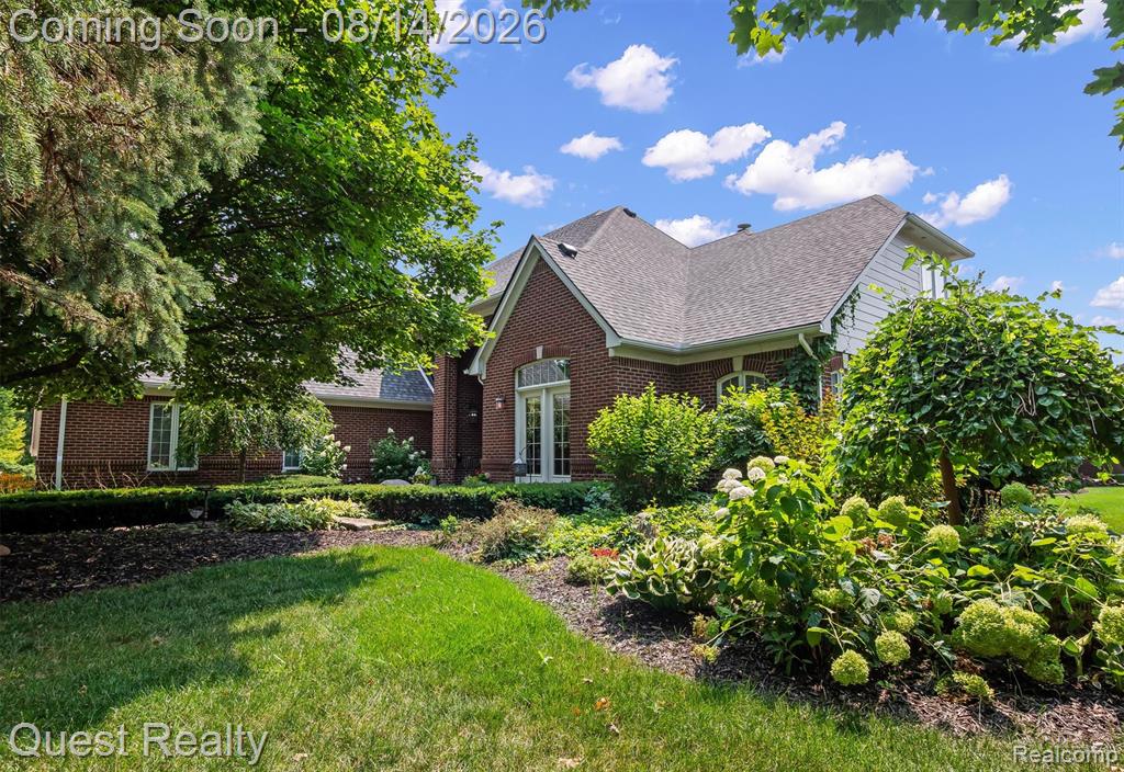 56439 Nickelby — photo