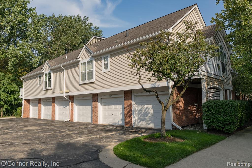 56242 Troon — photo