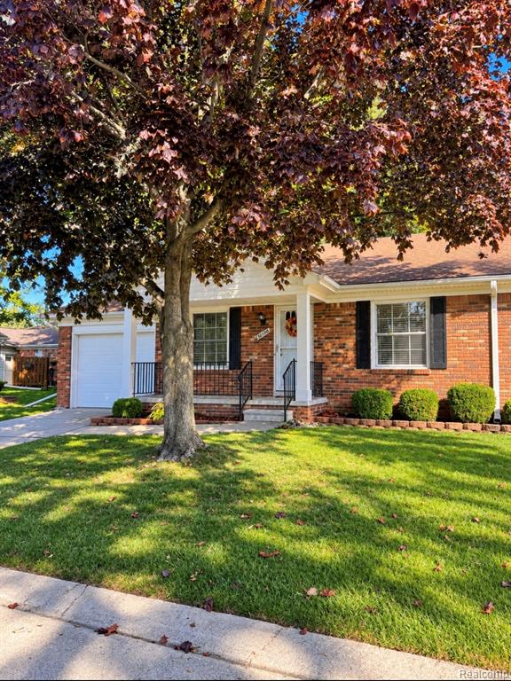38396 Maple Forest — photo