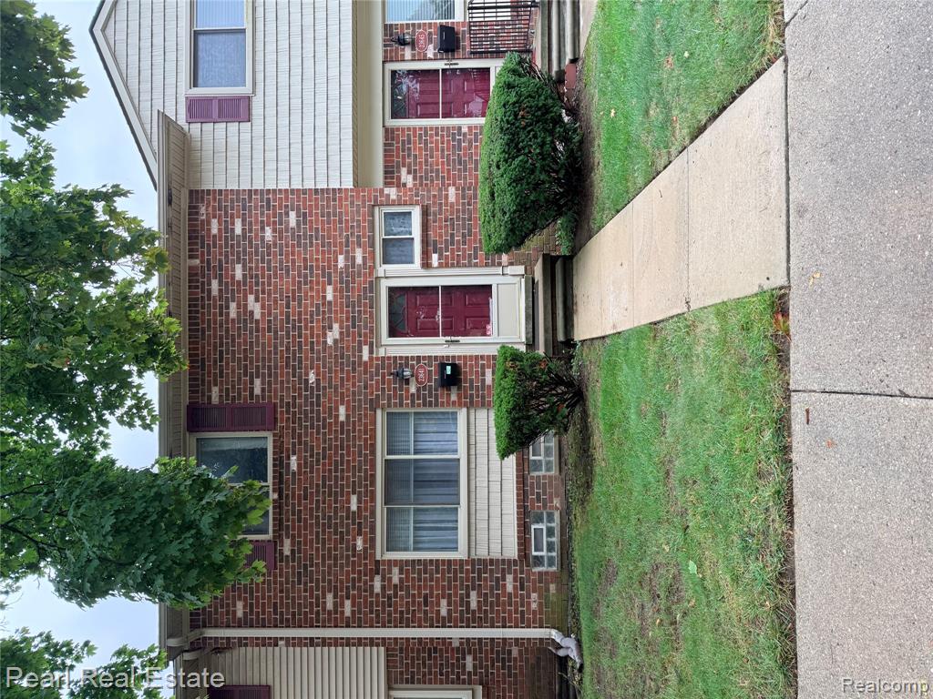 23641 Haig — photo