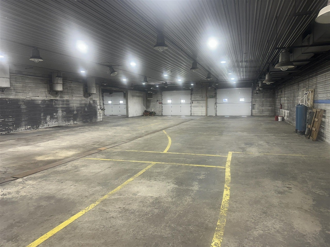 17336 M 60 — photo