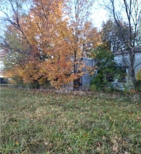 10044 8 Mile Road — photo