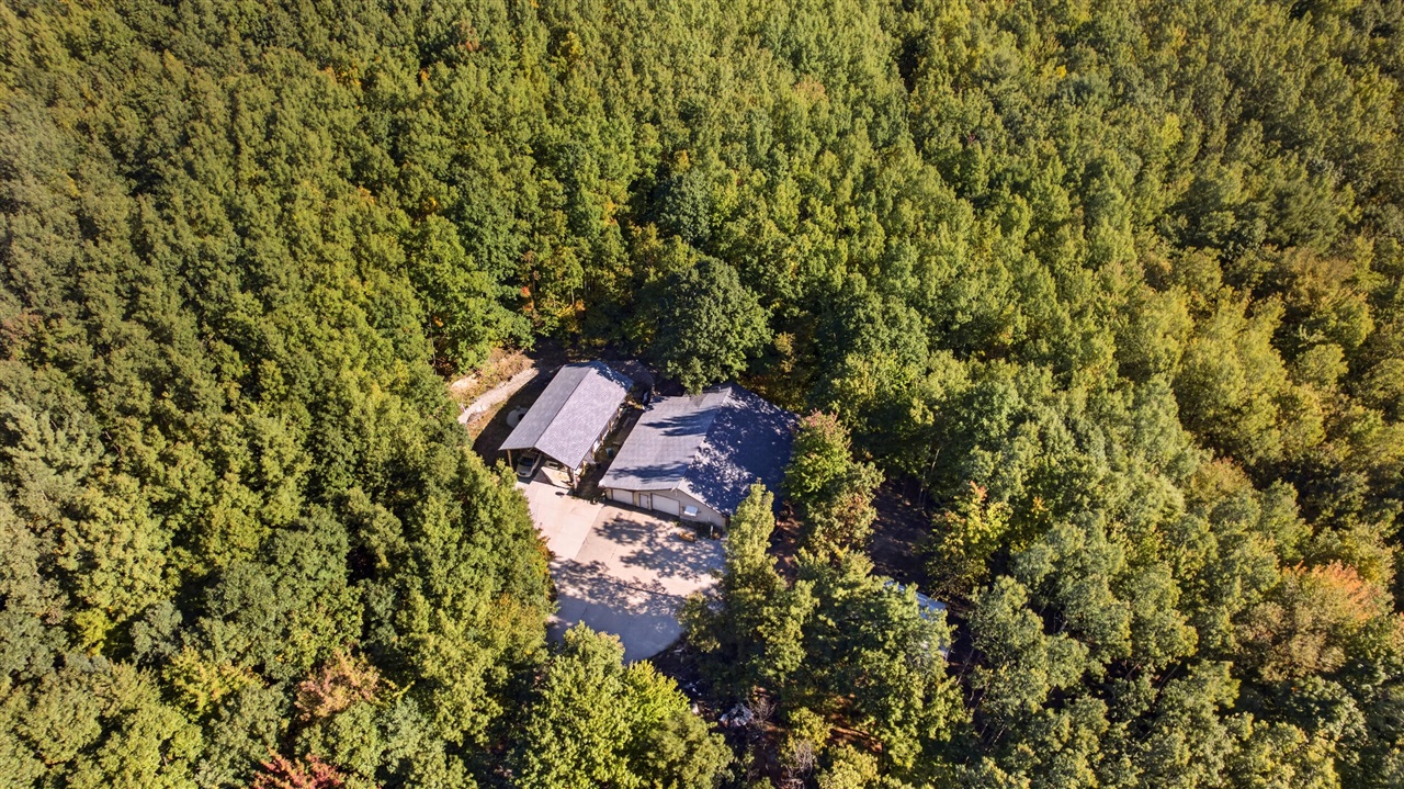 7149 W Homer Lake Road — photo