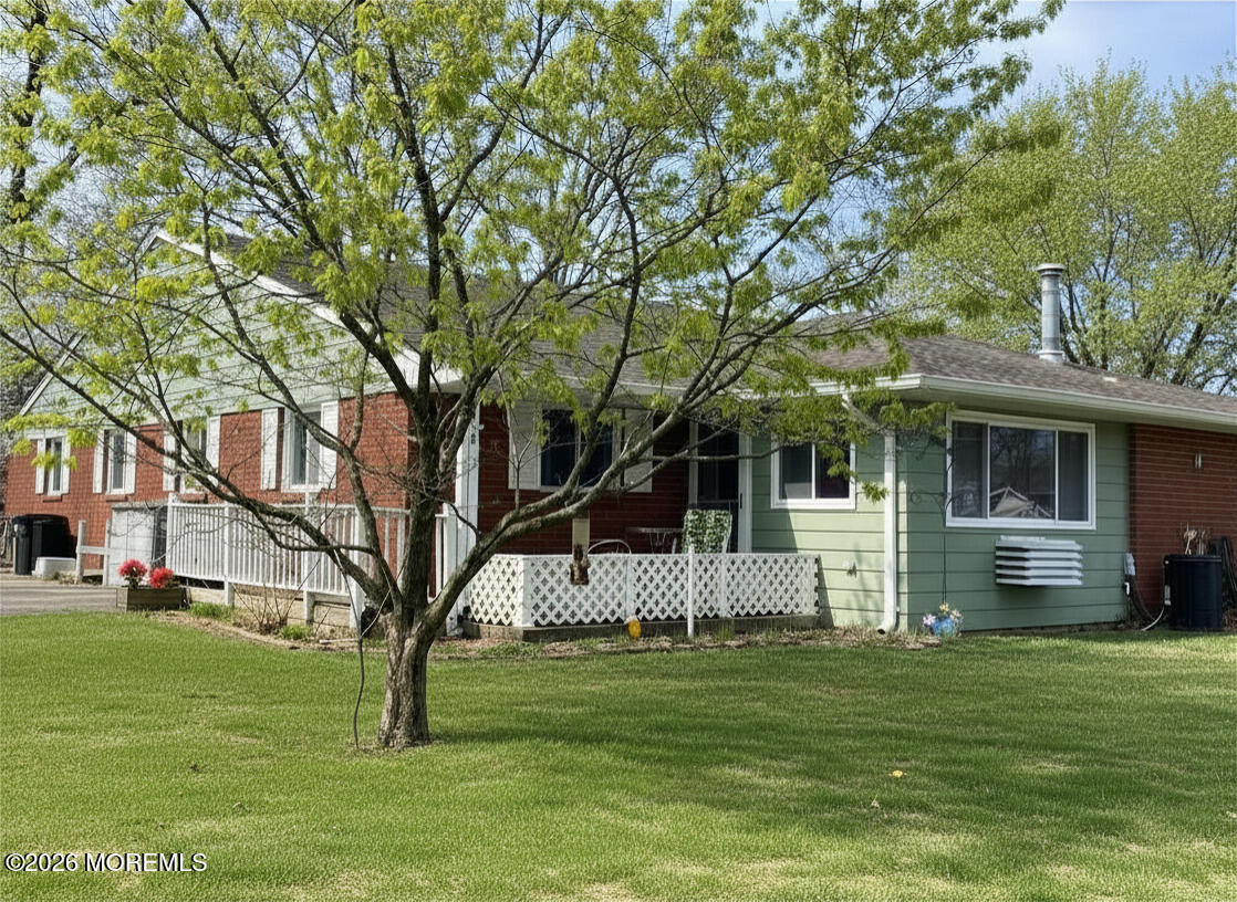 11 B Lark Street — photo