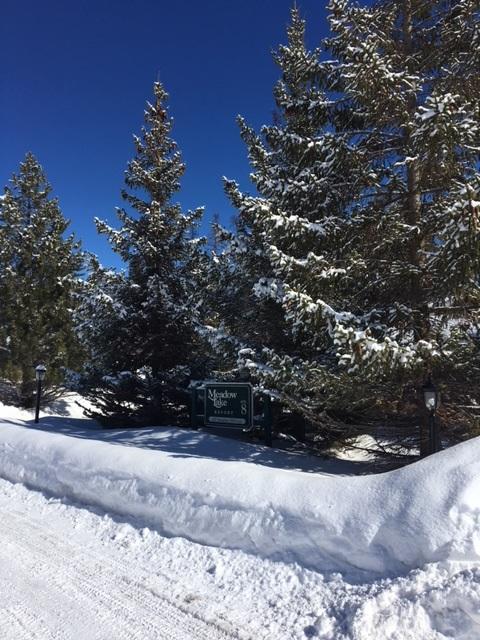 111 Spyglass Hill Loop Unit 911 Wk 48 — photo