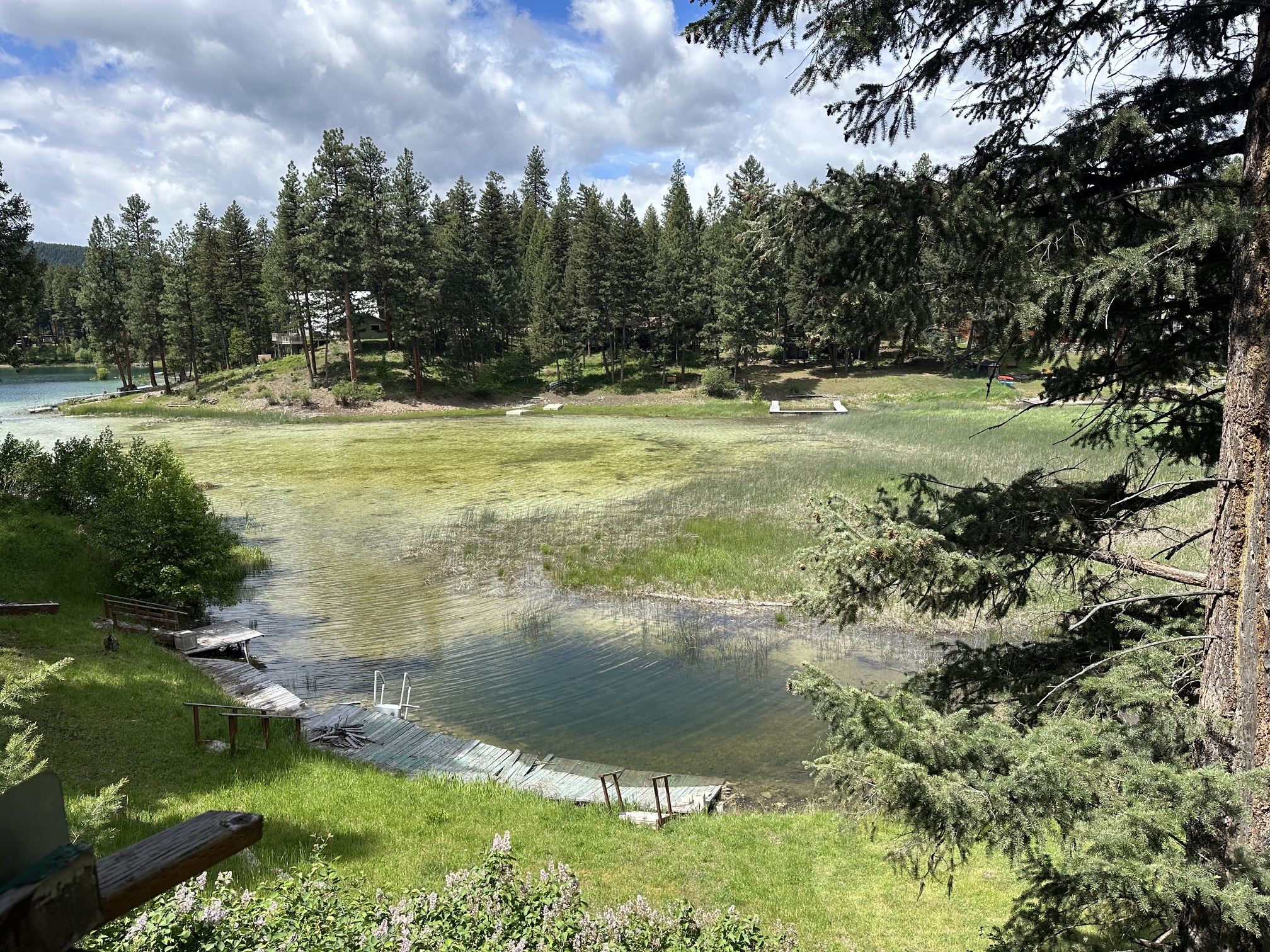 110 Happys Loop, Libby, MT 59923 — photo 3