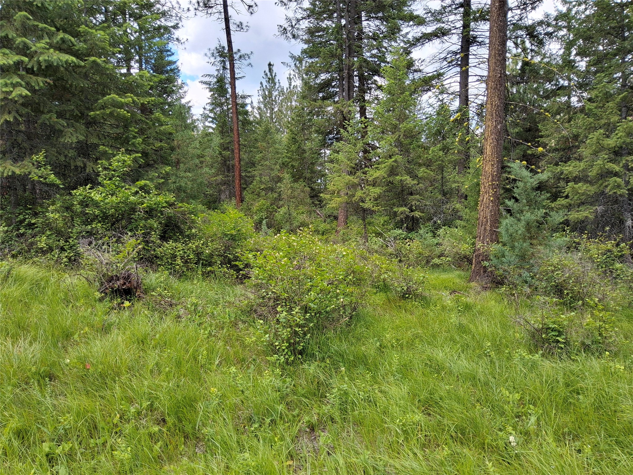 746 Tami Drive E, Superior, MT 59872 — photo 3